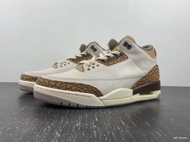 CT8532-102 Jordan Air Palomino 3 0816